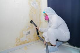 Port Angeles, WA Mold Remediation Company